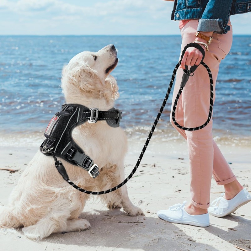 BARKBAY No Pull Dog Harness 3 Buckles Large Reflective Dog
