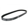 DAYCO 7186 V-Ribbed Belt