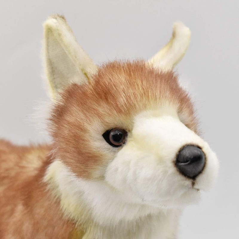 BH5207 HANSA Hansa Coyote 35 Real Animal Plush