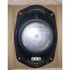 Riverpark 100W - 4 Ohm -6" x 9" Oval -