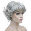 Kalyss Sliver Grey Short Curly Wigs with Hair Bangs for