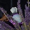 AHMED Oudh Lavender 75 ML EDP Oriental Fragrance for Men