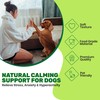 ActiveFur Nutrition Comfort Calm Tablets for Dogs