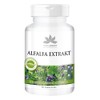 Alfalfa Tablets - Alfalfa Extract 4:1 (Medicago sativa) - 90