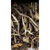Premium Black Tea Chinese Fujian Wuyi Mountain (200g/7.05ox) Floral Fruity