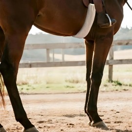 DayoVortex Girth Cover for Horses- Breathable and Soft Horse Cinch Cover, Girth Cover Dressage Prevents Friction and ulcers, absorbs Sweat for Horse and Rider Comfort (Standard, Cream, 32")