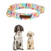 Unqiue Style Paws Birthday Dog Collar, Soft and Cute Dog