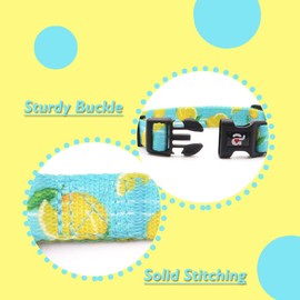 azuza Dog Collar and Leash Set, Cute Fruit Patterns, Adjustable Nylon Collar with Matching Leash for Small Medium and Large Dogs