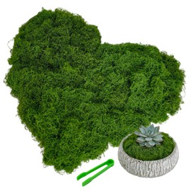 SoffMoiis Fake Moss for Potted Plants, 10.6OZ Dark Green Artificial Moss for Crafts Faux Moss Decoration DIY Crafts Model, Table Centerpieces, Plants Art Landscape, Dollhouse, Fairy Garden-300g