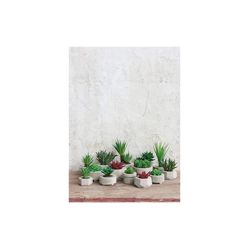 ASA Succulent II 66241444 Green Diameter 8.5 cm in Grey