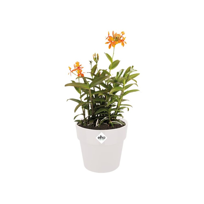 elho B.For Original Round 14cm Flower Pot - White
