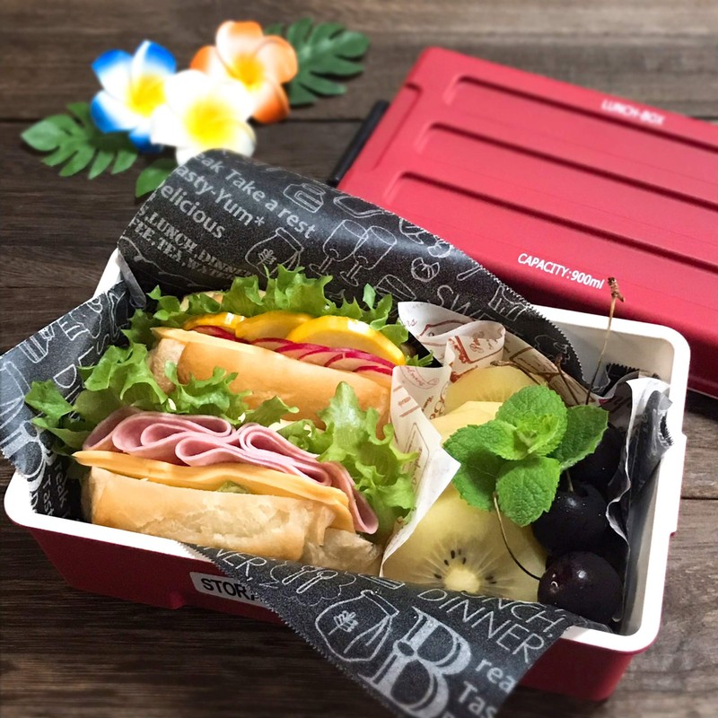 Masakazu 2-Tier Lunch Box Storage