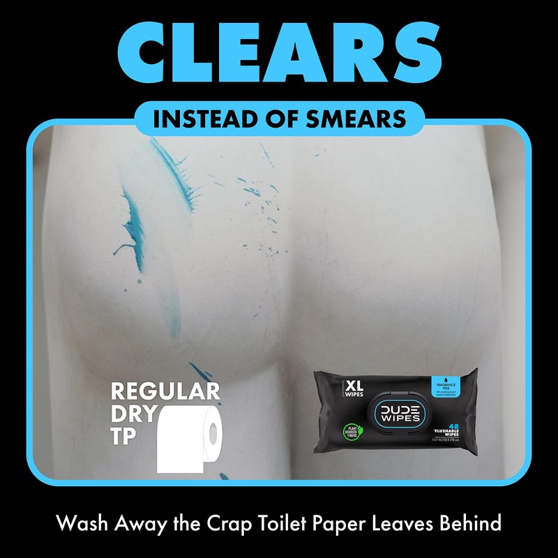 DUDE Wipes - Flushable Wipes Stocking Stuffers - 1 Pack,