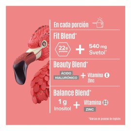 Birdman Proteína Vegetal Fitmingo | 510g | Sabor Moka | 20g Proteína por Servicio | Vegana y Sin Gluten