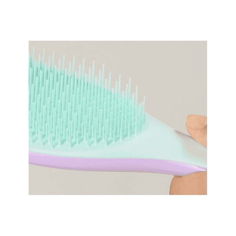 Tangle Teezer Wet Detangler Mini Hair Brush, Wisteria Leaf, 1