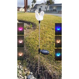 Affordable Outdoor Garden Set of 2 Pieces Solar Powered Garden Yard Stake (Color Change abilities) LED Light (Rooster)…