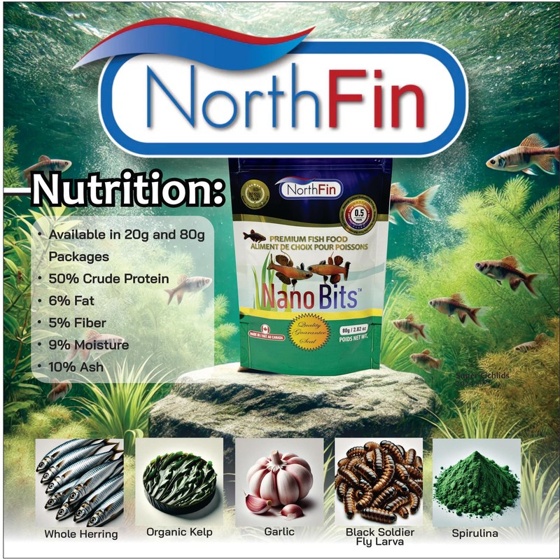 Northfin Nano Bits Premium Fish Food - 0.5mm Slow Sinking