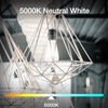 DAYBETTER 12 Pack Vintage LED Edison Bulbs, E26 Led Bulb