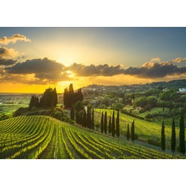 Loccor 7x5ft Fabric Vineyard Backdrop Tuscany Countryside Vineyard Sunset Landscape Photography Background Wedding Celebration Birthday Party Baby Shower Photo Booth Props