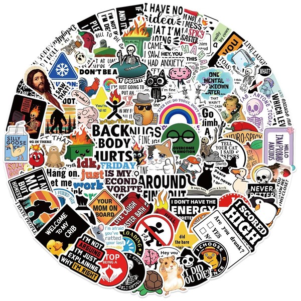 Funny Meme Stickers,Prank Hilarious Graffiti Stickers,100Pcs Vinyl Waterproof Sticker for
