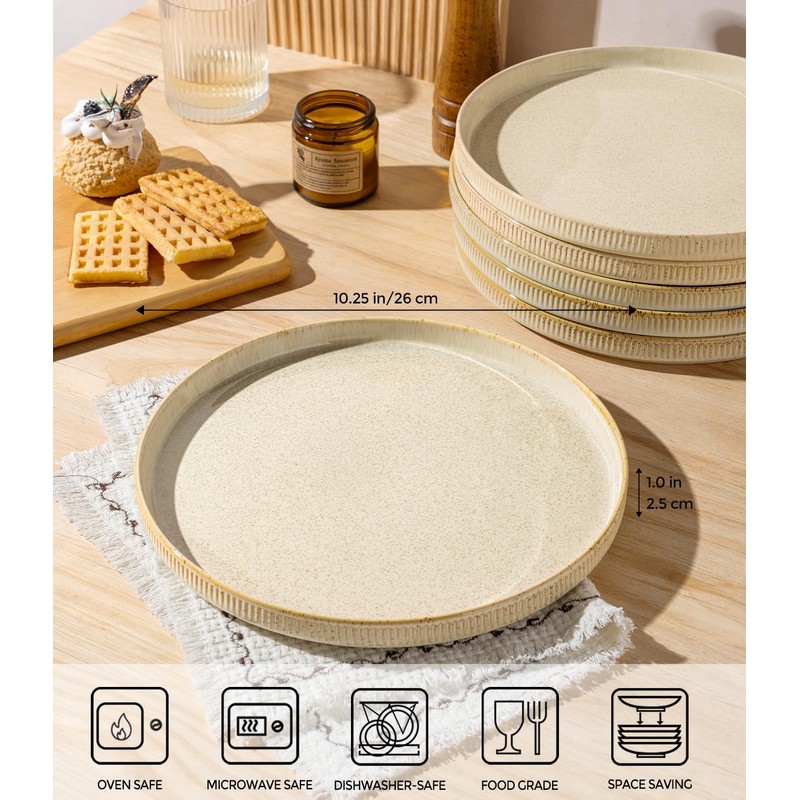 theterra Dinner Plates Set of 6, 10.25 Inch Ceramic Dinner