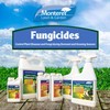 Monterey (LG3307) -Garden Phos Concentrate, Systemic Fungicide for Control of