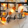 Maíz Serie Foco Luces Led Decorativas Abejas Kawaii 3 Metros