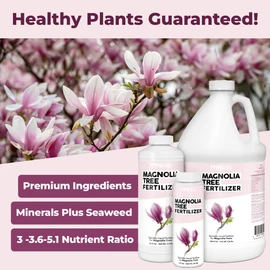 Magnolia Tree Fertilizer, Complete Liquid Magnolia Tree Plant Food, 8 oz (250mL)