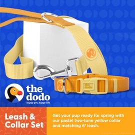 Dodo All Nylon Yellow Collar and Leash - Medium; Matching Cute Collar and Leash Set; Waterproof Set, Perfect for Beach Day or Trips to the Lake