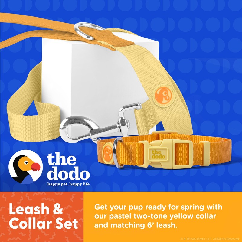 Dodo All Nylon Yellow Collar and Leash - Medium; Matching