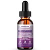 Healtionist 1 Pack Glucosamine Chondroitin MSM Liquid Drops, Extra Strength