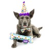Huxley & Kent H&K Dog Celebration Box HAPPY BARKDAY-SM