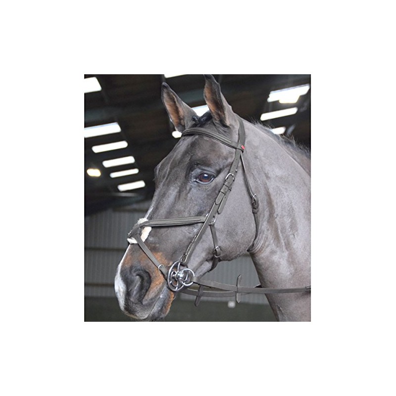 John Whitaker Ready to Ride Mexican Grackle Bridle Cob Black