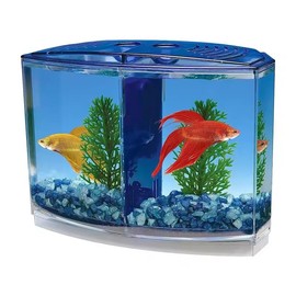 EatingBiting Large Double Compartment Fighting Fish Box Eco Rumble Fish Aquarium Mini Aquarium Plastic Isolation Box Breeding Box Transparent Betta Fish Tank