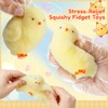 6 PCS Squishy Chicken Toys with Henhouse, Handmade Ultra Soft