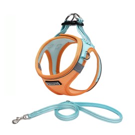 Mercano Soft Mesh Dog Harness and Leash Set, No-Chock Step-in Reflective Breathable Lightweight Easy Walk Vest Harnesses with Safety Buckle for Small Dogs, Cats (XXS, Orange Blue)
