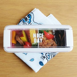 Iwasaki Industrial Lunch Box, 2-Tier, 24.0 fl oz (680 ml), Navy, Easy Care