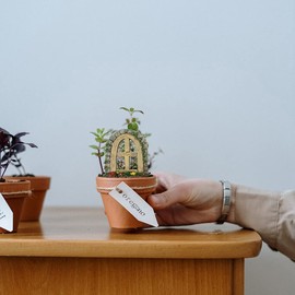 4pcs Micro Landscape Ornament Gnome Windows for Trees Miniature Fairy Door Fairy Window Fairy Doors for Trees Outdoor Tree Door Gate Synthetic Resin Doll House