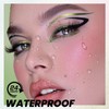 Black and Multichrome Waterproof Liquid Eyeliner, Stay All Day Eye