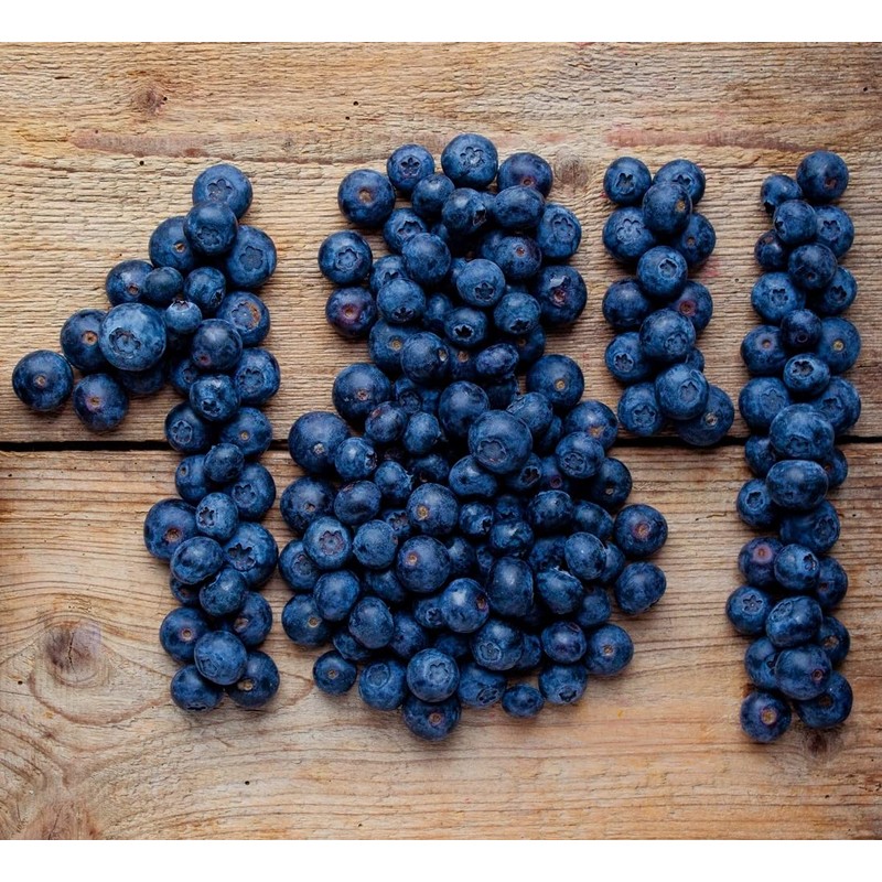 il FruTeto Italia 100% Blueberry Organic Fruit Spread. 250g. Made