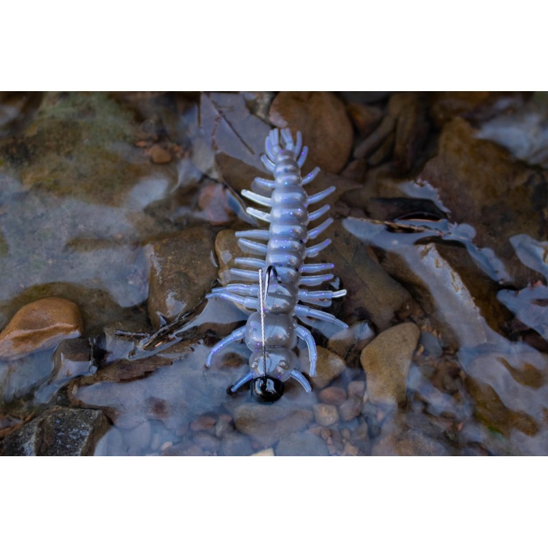 YUM HELLGRAMMITE-NORTHERNLGHTS