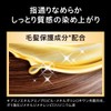 Kao Blaune Lumiest Hair Color Gray Hair Dye 1WB Warm