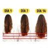 Shampoo Cola De Caballo, Crecimiento Sheló Nabel Cont 950 Ml