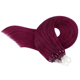 ALISY Human Hair Ring Loop Hair Tip Extensions Remy Hair Color Wig Extensions 50pcs (16inch, BUG#)