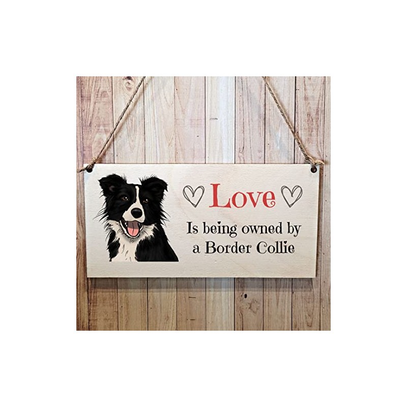Second Ave Border Collie Dog Wooden Hanging Gift Rectangle Home
