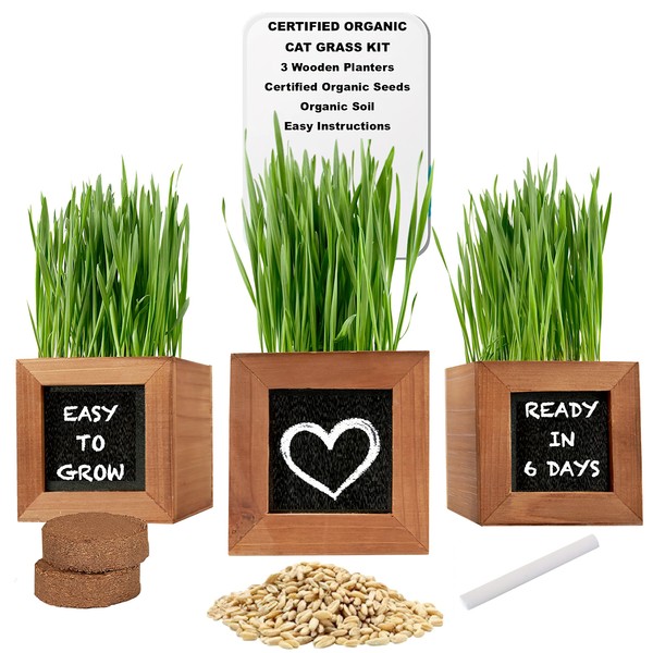 Cat Grass for Indoor Cats with 3 Wooden Planters, Certified Organic Seeds, and Soil. Gifts for Cats They Will Love. Perfect Cat Grass Kit Gift for Cat Lovers/Cat Owners (Cat Grass Kit)