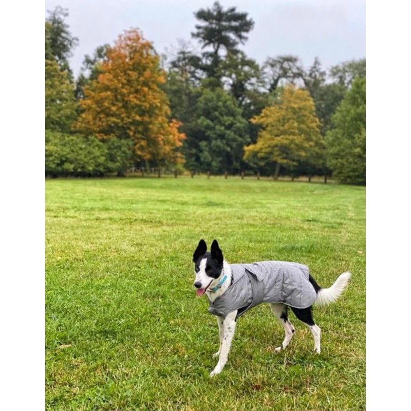 Ancol Ultimate Reflective Dog Coat X Small