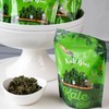 Kale Bros, Kale Chips, Pizza Thyme, Multi-pack (Pack of 6)