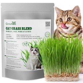Cat Grass Seeds, 1 Pound, Non-GMO Barley, Oats, Wheat, Rye 4 Varieties Seeds, Fast & High Germination, Grown in USA for Indoor Cats