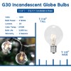 Novelty Lights 25 Pack G30 Outdoor Globe Replacement Bulbs, Purple,